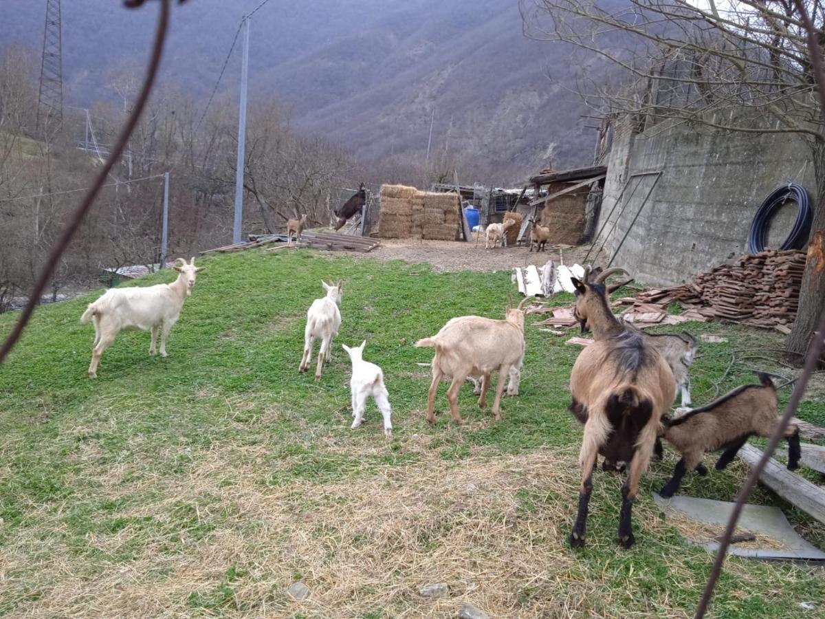 Milky'S House Βίλα Isola del Cantone Εξωτερικό φωτογραφία